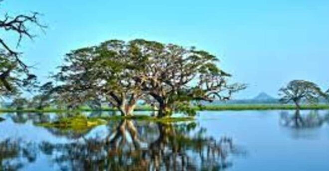 Thissa Lake Boat Safari - Scenic Attractions Around the Lake
