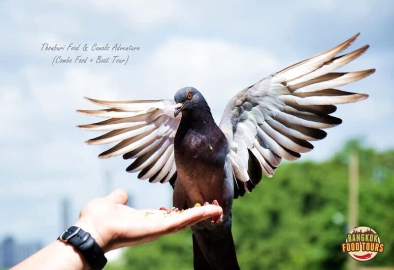 Thonburi Food & Canals Adventure - Practical Details and Value