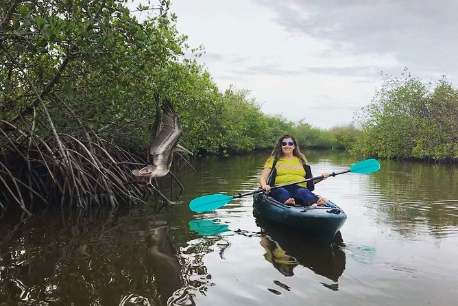 Thousand Island Mangrove Tunnel, Manatee & Dolphin Kayak Tour W/Cocoa Kayaking - Inclusions and Logistics
