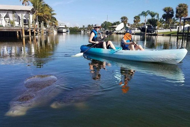 Thousand Island Mangrove Tunnel, Manatee & Dolphin Kayak Tour W/Cocoa Kayaking - Wildlife and Nature
