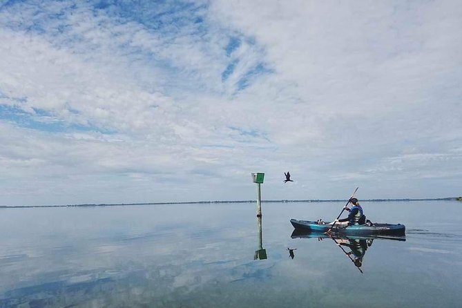 Thousand Island Mangrove Tunnel, Manatee & Dolphin Kayak Tour W/Cocoa Kayaking - Fun Family Activity and Safety