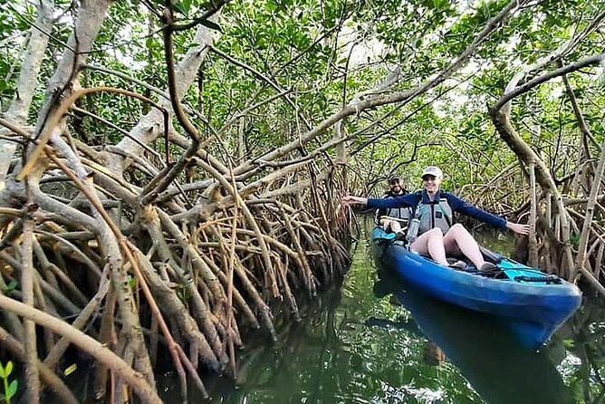 Thousand Island Mangrove Tunnel, Manatee & Dolphin Kayak Tour W/Cocoa Kayaking - Common Questions
