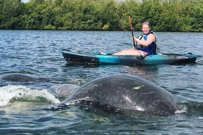 Thousand Island Mangrove Tunnel, Manatee & Dolphin Kayak Tour W/Cocoa Kayaking - The Sum Up