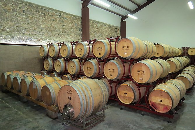 Thracian Valley Wine Tasting - Private Day Tour From Plovdiv - The Sum Up