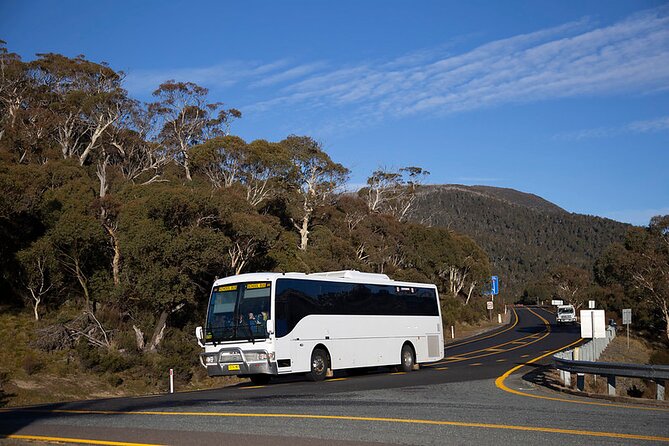 Thredbo & Perisher Bus Trip From Canberra - Departure and Return Information