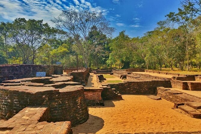 Three Ancient Kingdoms Tour From Colombo - Pricing and Terms