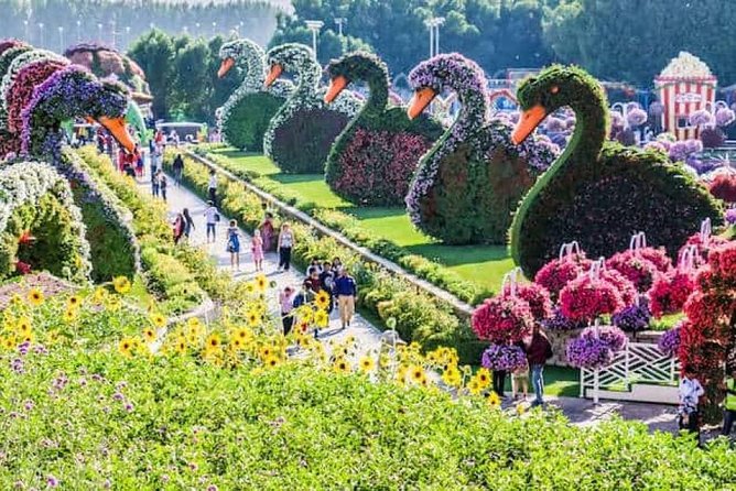 Three at One Time !! Dubai Miracle Garden With Butterfly Garden & Global Village - Discovering the Butterfly Garden