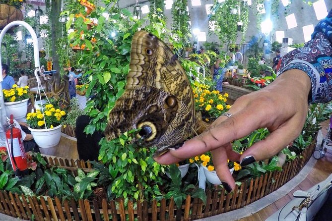 Three at One Time !! Dubai Miracle Garden With Butterfly Garden & Global Village - Pricing and Support Information