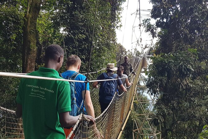 Three-day Nyungwe Canopy and Kivu Lake Adventure - Tour Highlights