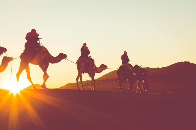 Three Days Amman, Petra, Wadi Rum & Dead Sea Private Tour - Accessibility and Health Considerations