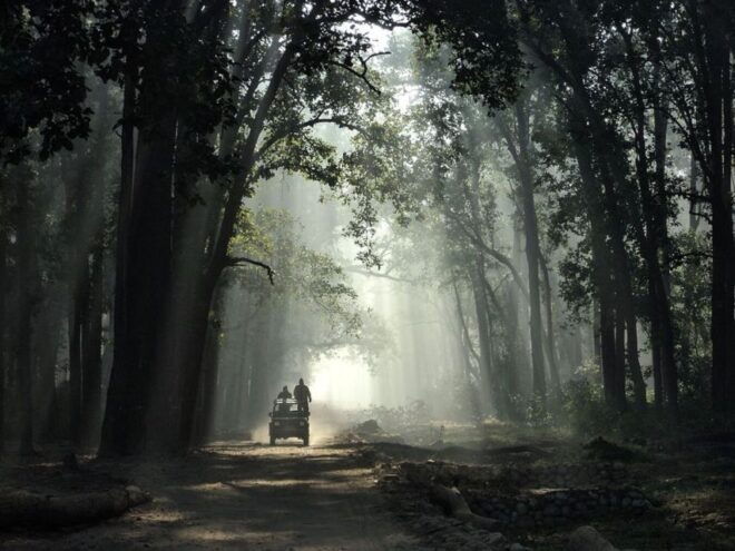 Three Days Jim Corbett National Park Tour - Meeting Point