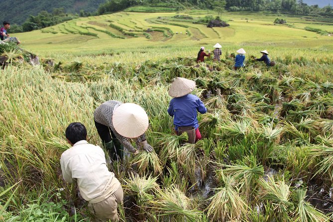 Three Days Motorbiking Tour Pu Luong - Traveler Photos