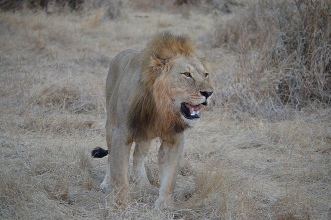 Three Days Ngorongoro Crater, Lake Manyara and Taragire National Park (Joining) - Good To Know