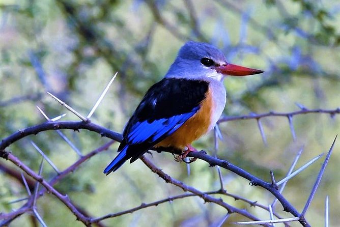 Three Days Safari: Lake Manyara-ngorongoro Crater (classic) - Good To Know