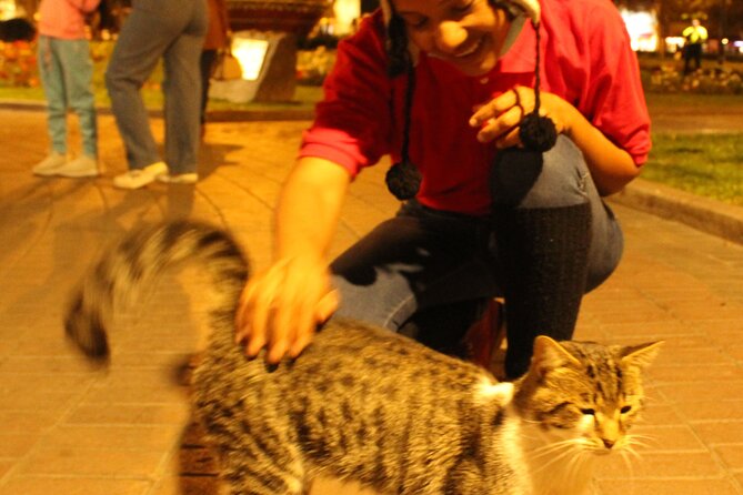 Three Districts of Lima by Night - Barranco: A Bohemian Paradise