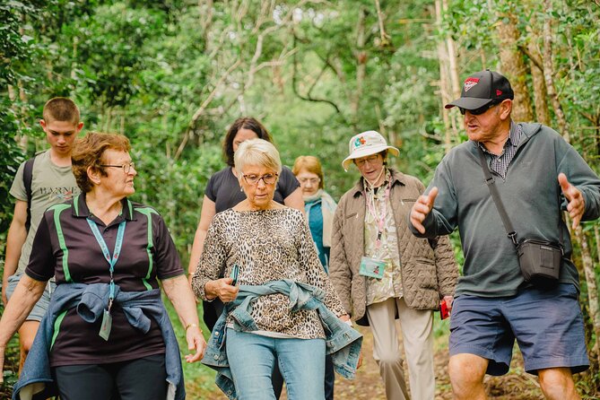 Three-Hour Guided Bushwalk With Breakfast, Cook Monument  - Norfolk Island - Overview and Details