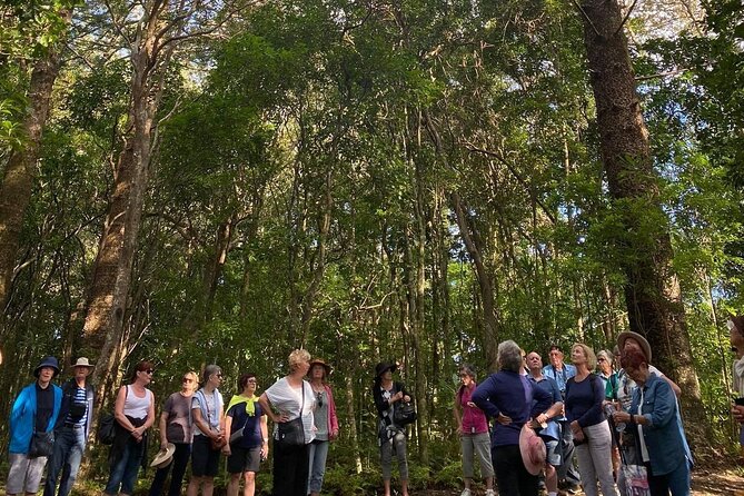 Three-Hour Guided Bushwalk With Breakfast, Cook Monument  - Norfolk Island - Ticket Redemption and Pickup Details