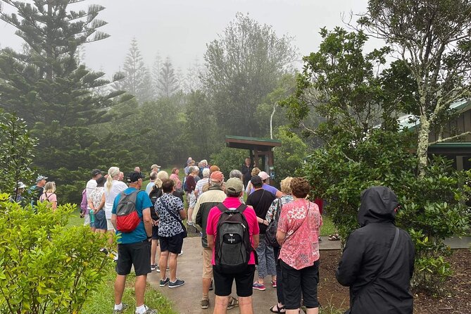 Three-Hour Guided Bushwalk With Breakfast, Cook Monument  - Norfolk Island - Traveler Photos and Reviews