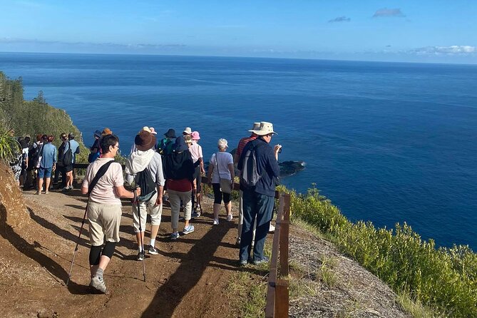 Three-Hour Guided Bushwalk With Breakfast, Cook Monument  - Norfolk Island - Pricing and Contact Information