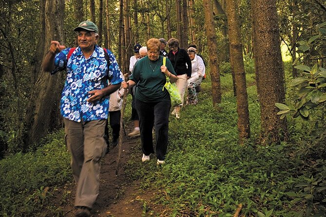 Three-Hour Guided Bushwalk With Breakfast, Cook Monument  - Norfolk Island - Guided Walk to Captain Cook Monument