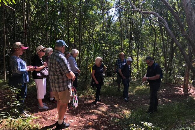 Three-Hour Guided Bushwalk With Breakfast, Cook Monument  - Norfolk Island - Breakfast Barbecue on a Cliff Top