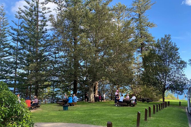 Three-Hour Guided Bushwalk With Breakfast, Cook Monument  - Norfolk Island - Choose Easy or Challenging Trail