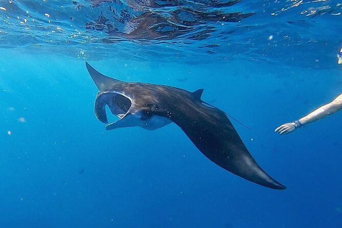 Three Islands Snorkeling Trip (3 Spots) From Lembongan (Lt) - Safety Precautions