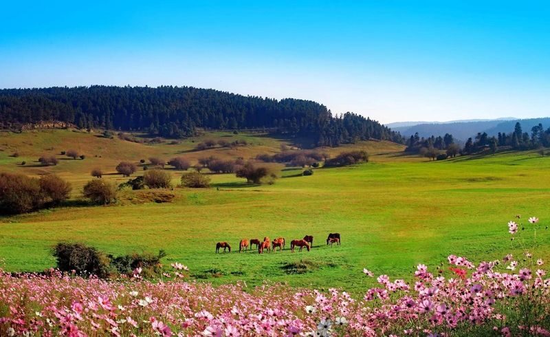 Three Natural Bridges & Dragon Gorge Private Day Tour - Is $168.15 good value?