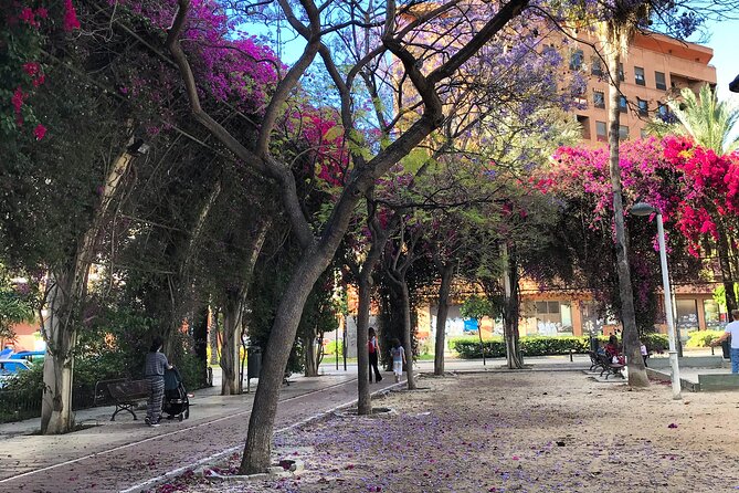 Three Parks of Valencia Private Bike Tour - Bike Tour Itinerary
