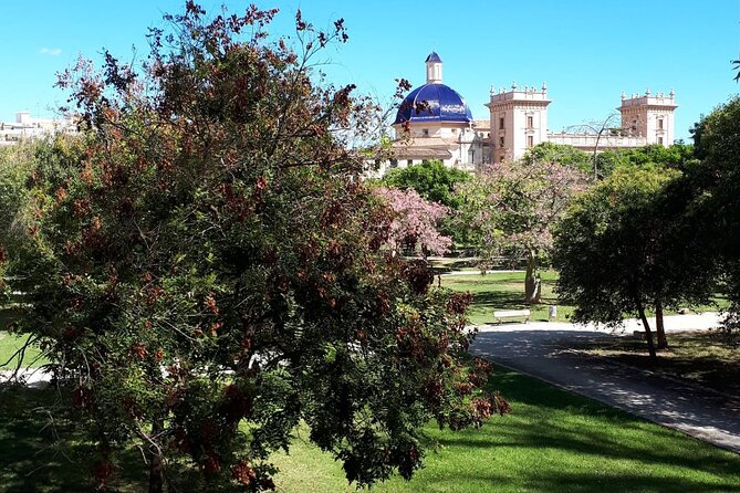 Three Parks of Valencia Private Bike Tour - Bike Tour Logistics