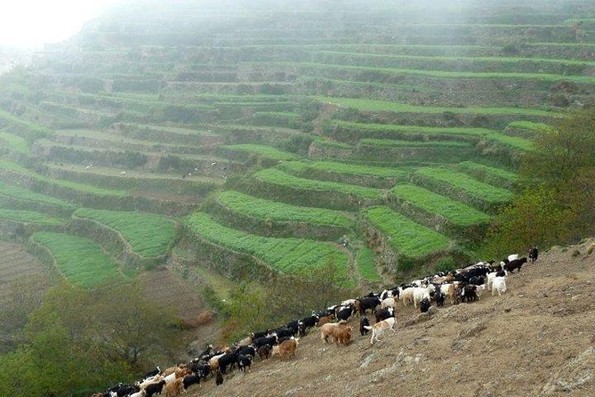 Three-Valley Day Trip With Lunch From Marrakech - Itinerary Highlights