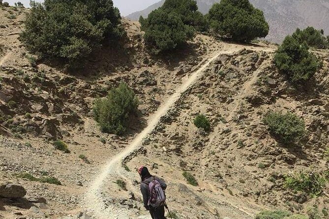 Three Valleys & Berber Villages 3 Days Trek From Marrakech - Day 3: Valley 2 to Marrakech