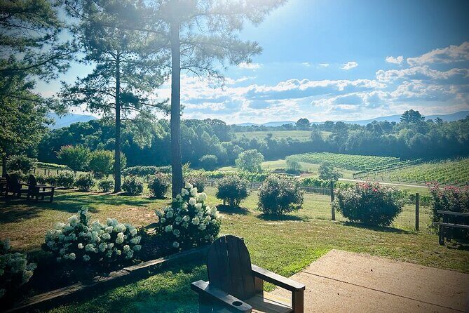 Three Vineyards Half Day Private Wine Tour From Asheville - Good To Know