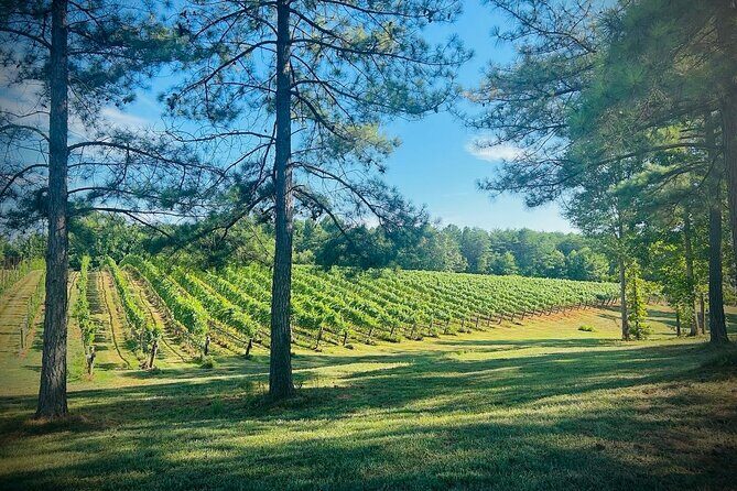 Three Vineyards Half Day Private Wine Tour From Asheville - An Overview of the Experience