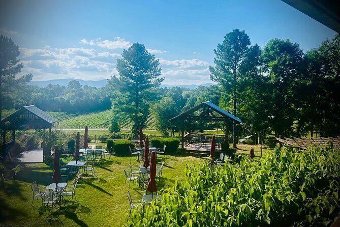 Three Vineyards Half Day Private Wine Tour From Asheville - Pricing & Value Assessment