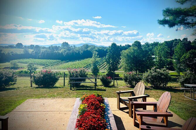 Three Vineyards Half Day Private Wine Tour From Asheville - Final Thoughts