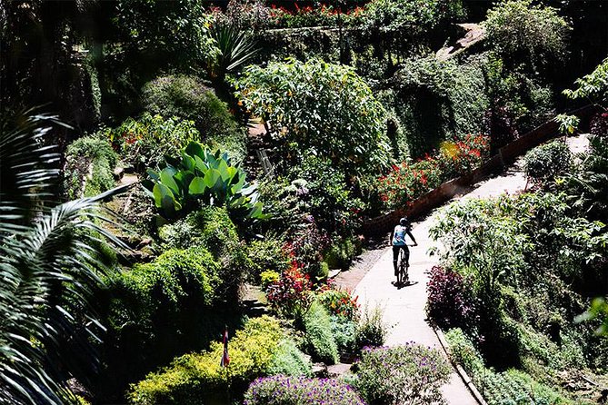 Thriller Trail Mountain Biking Tour From Chiang Mai - Booking and Payment Information