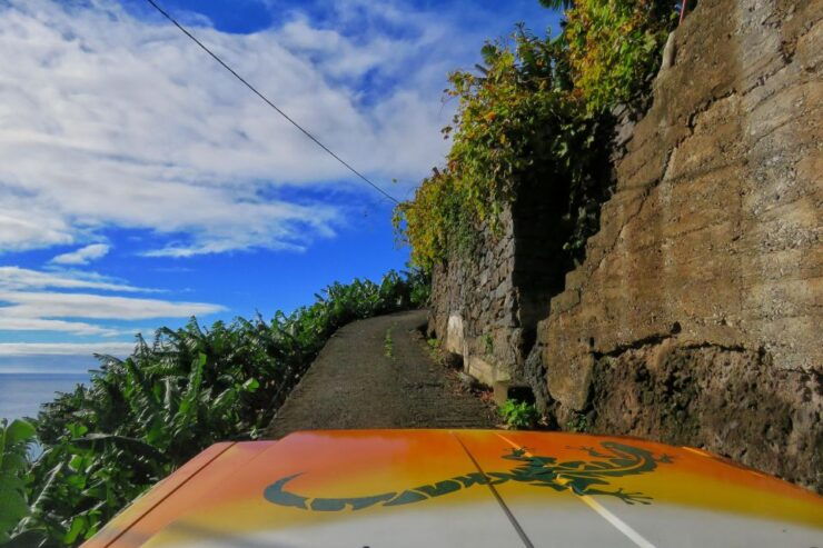 Thrilling 4x4 Jeep to Southwest & Magic of Ponta Do Pargo - Booking Details
