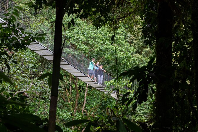 Thrilling Adventure: Arenal Hanging Bridges Expedition - Expedition Overview