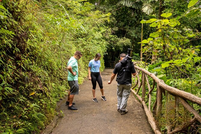 Thrilling Adventure: Arenal Hanging Bridges Expedition - Arenal Hanging Bridges Details