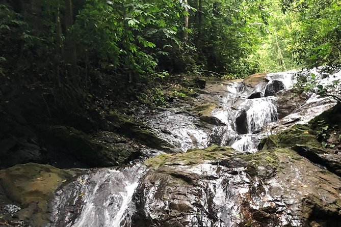 Thrilling Adventure Combo: Canyoning, Canopy, Rappel Tour - Essential Information