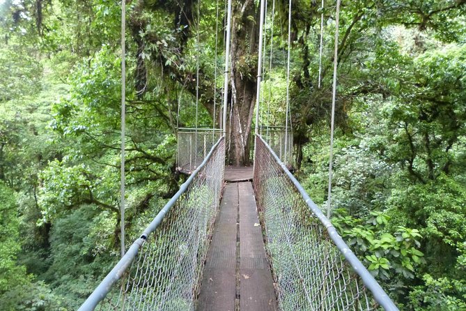 Thrilling Arenal Adventure: Bridges and Hot Springs - Tour Itinerary