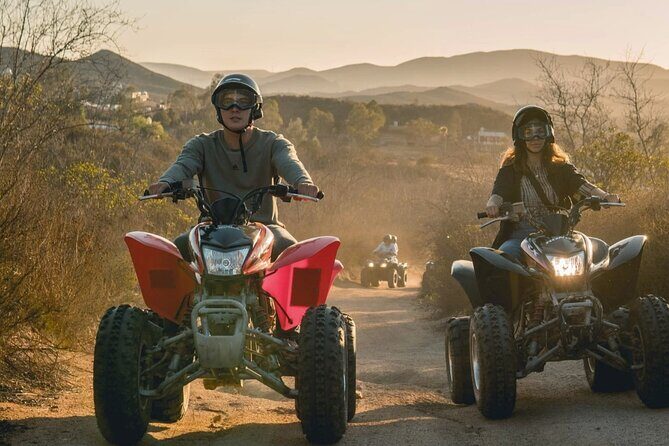 Thrilling ATV Ride Through Vineyards with Port Pickup - The Sum Up: Who Will Love This Tour?