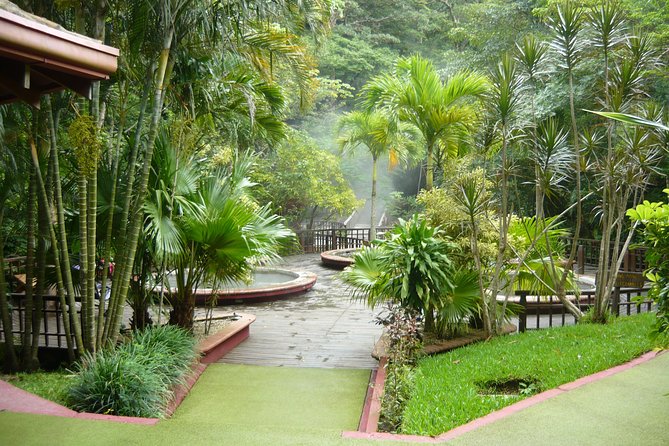 Thrilling Canopy Adventure Awaits - Tour Highlights
