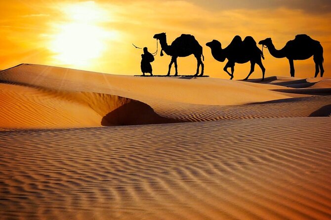 Thrilling Dune Bashing With VIP Desert Camp Delicious BBQ & Shows - Pickup Information