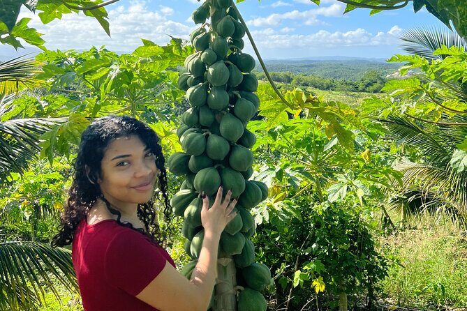 Thrilling farm adventure in Trelawny - Good To Know