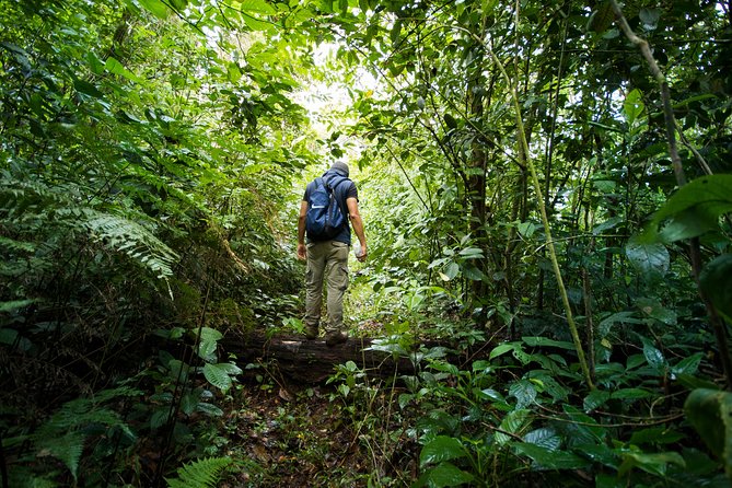Thrilling Jungle Adventure in Costa Rica's Rainforest - Booking and Cancellation Policies