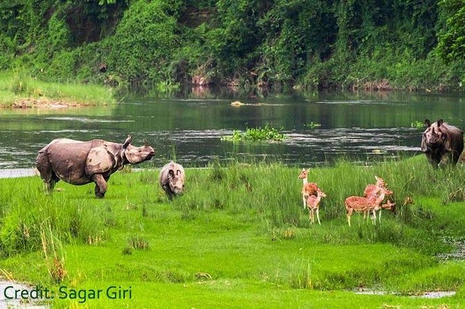 Thrilling Jungle Safari & White Water Rafting Expedition - White Water Rafting Essentials