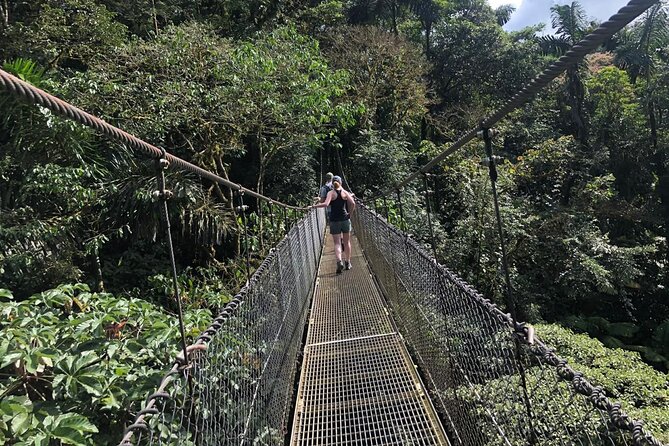 Thrilling Nature Adventure: Místico Hanging Bridges Walk - Review Overview