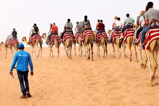 Thrilling Red Dune Desert Safari - Red Dune Safari Highlights